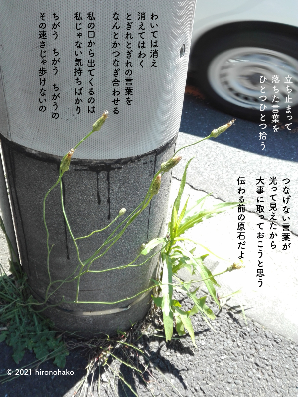 詩付きの写真：電柱の脇の花がしぼんでいる。入っている車のタイヤの一部が見える