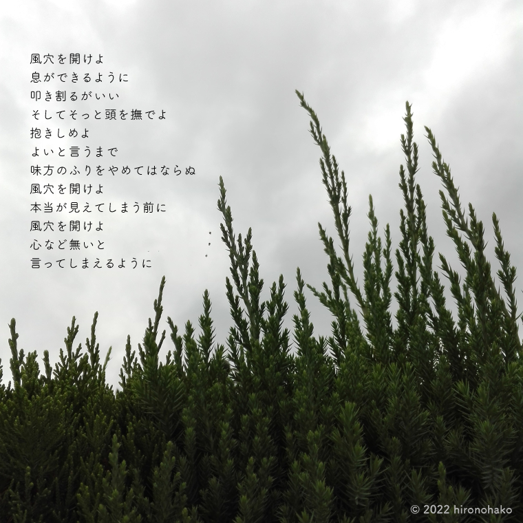 詩付きの写真：重い曇空と木の枝